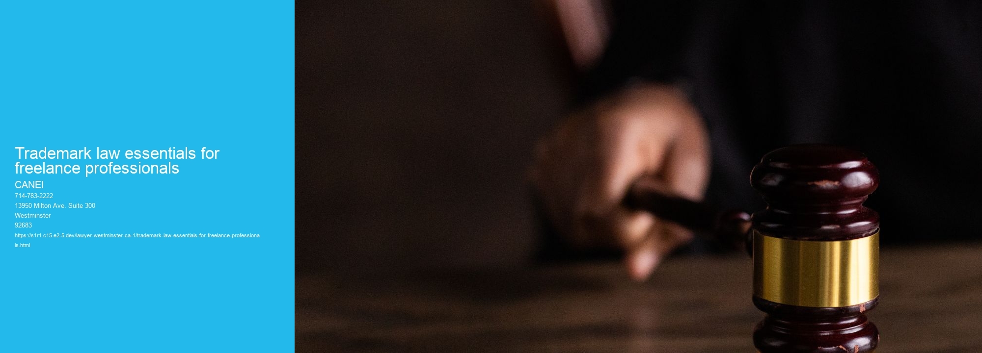 Trademark law essentials for freelance professionals